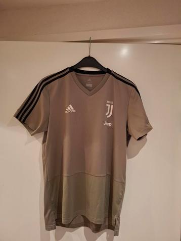 Juventus Trainingsshirt 2018-2019 beschikbaar voor biedingen