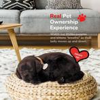 Labrador zwart pup Perfect Petzzz ademt 'echt', Info@hopsa.nl, Industrieweg 12, 2254 AE Voorschoten, Nieuw, Plenty gifts