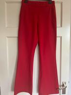 Studio Anneloes rode broek bonded flair s, Kleding | Dames, Broeken en Pantalons, Studio Anneloes, Verzenden, Maat 36 (S), Lang