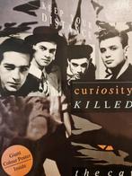 Curiosity Killed the Cat - Songbook, Gebruikt, Ophalen of Verzenden, Artiest of Componist, Piano