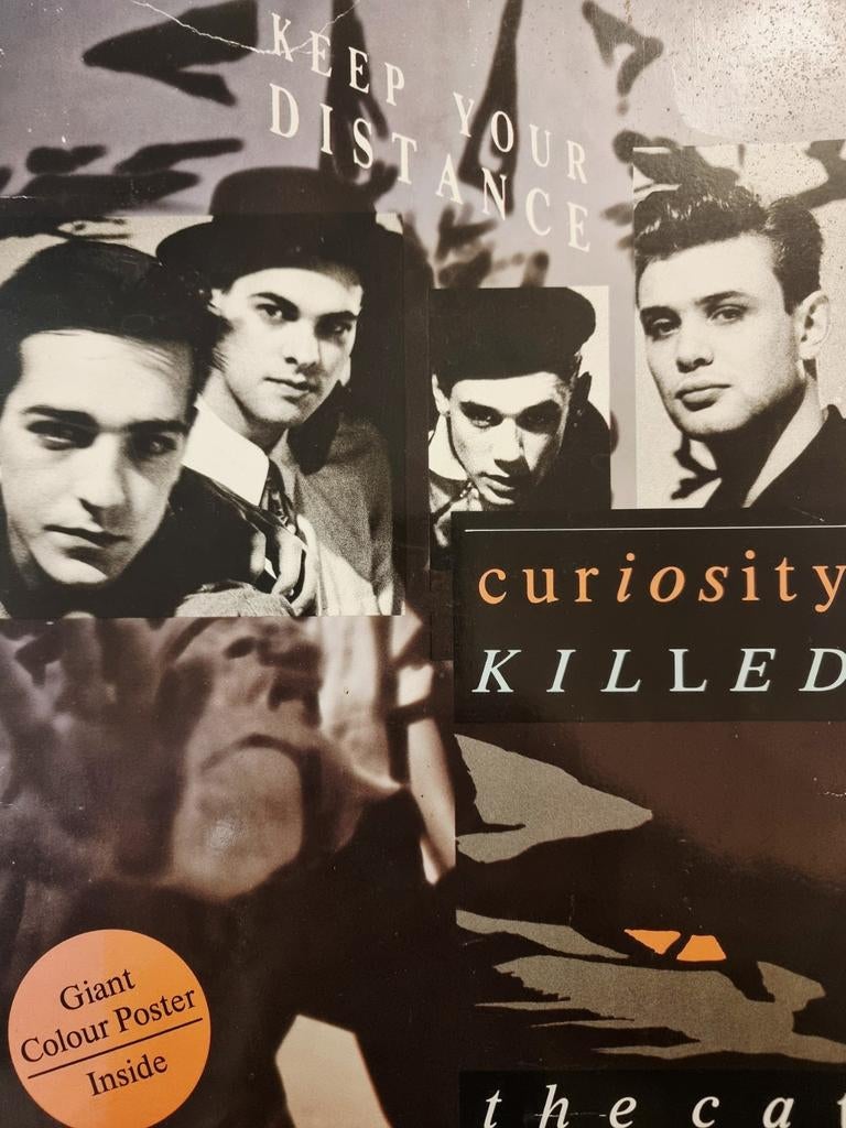 Curiosity Killed the Cat - Songbook, Muziek en Instrumenten, Bladmuziek, Gebruikt, Artiest of Componist, Populair, Gitaar, Basgitaar