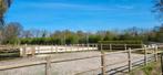 Stalling met weidegang voor pony's, privé, Dieren en Toebehoren, Stalling en Weidegang, Weidegang