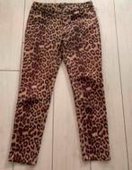 Drôle de Copine panterbroek M, Kleding | Dames, Broeken en Pantalons, Ophalen of Verzenden, Zo goed als nieuw