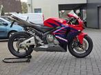 Honda Sport CBR 600RR, Motoren, Motoren | Honda, Bedrijf, Sport, Meer dan 35 kW, 599 cc