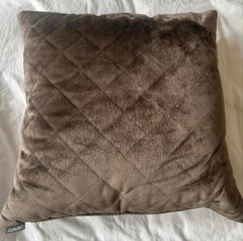 Claudi Kussen, Huis en Inrichting, Woonaccessoires | Kussens, Zo goed als nieuw, Vierkant, Ophalen of Verzenden