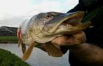 Set SP 01 van 2 Snoekspinners met streamer € 12,80 per set, Watersport en Boten, Ophalen of Verzenden, Nieuw, Complete set