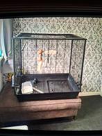 Vogel kooi 80x78x48, Dieren en Toebehoren, Ophalen of Verzenden, Zo goed als nieuw, Metaal, Vogelkooi