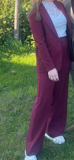 bordeaux rood dames pak, Maat 38/40 (M), Kostuum of Pak, Ophalen of Verzenden, Zo goed als nieuw