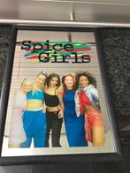 Spiegel Spice Girls, Ophalen of Verzenden, Zo goed als nieuw