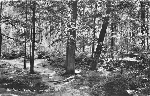 (387-232-017) De Steeg Bossen omgeving Posbank, Verzamelen, Ansichtkaarten | Nederland, Gelderland, Verzenden