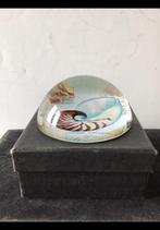 Presse papier, afbeelding v een nautilus schelp. Glas, nieuw, Diversen, Bureau-accessoires, Ophalen of Verzenden, Nieuw