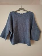 Damest trui mt M/L, Maat 38/40 (M), Blauw, Ophalen of Verzenden, Gedragen