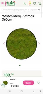 Mos schilderij - diameter 60cm, Ophalen of Verzenden, Zo goed als nieuw, Overige materialen, Overige typen