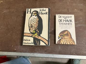 vogel roofvogel havik ornithologie valkenier beschikbaar voor biedingen