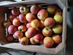 appels, onbespoten Goudreinetten, Diversen, Ophalen
