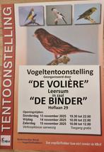 Grote vogelshow Leersum., Dieren en Toebehoren, Vogels | Overige Vogels, Meerdere dieren