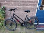 Fiets, Pegasus, framemaat 60, Versnellingen, 56 cm of meer, Zo goed als nieuw, Ophalen