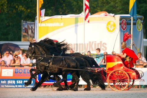 Friese Paardenshow, Witte Trouwkoets, Rondrit, Dagtochten, Diensten en Vakmensen, Dieren | Paarden | Verzorging, Oppas en Les