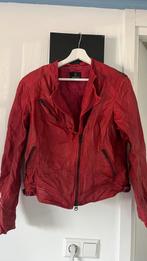 Rode Leren jasje Maat M, Ophalen of Verzenden, Gedragen, Maat 38/40 (M), Rood