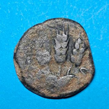 Israel, Judea, Agrippa I 37-44 n.Chr., prutah beschikbaar voor biedingen