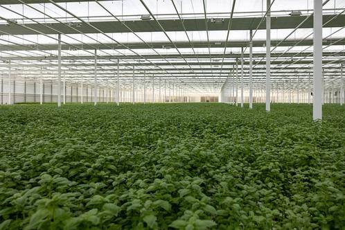HR Medewerker, Vacatures, Vacatures | Landbouw, Natuur en Milieu, Tijdelijk contract, Overige uren