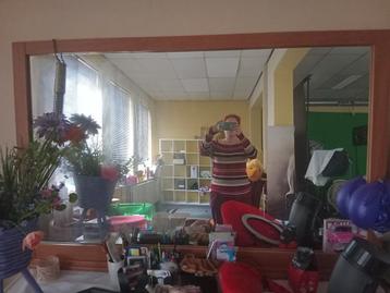 Spiegel - Gratis ophalen! beschikbaar voor biedingen