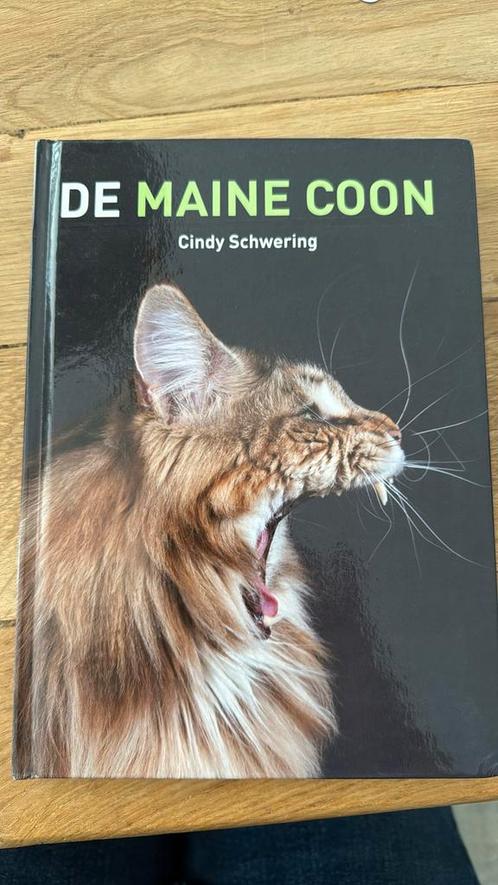 Cindy Schwering - De Maine Coon, Boeken, Dieren en Huisdieren, Nieuw, Honden, Ophalen of Verzenden