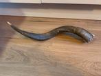 Antieke hoorn, shofar van een kuduhoorn., Ophalen of Verzenden, Gebruikt, Gewei of Kop