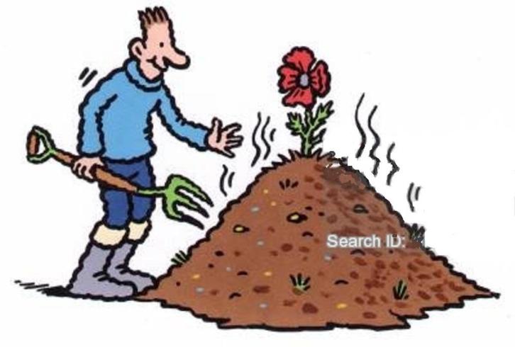 Pure biologische paardenmest, Tuin en Terras, Aarde en Mest, Mest, Ophalen