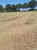 Mooi paardenhooi, Dieren en Toebehoren, Ophalen, Vee