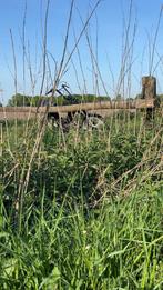 Opknap tomos gezocht, Fietsen en Brommers, Brommers | Tomos, Ophalen of Verzenden