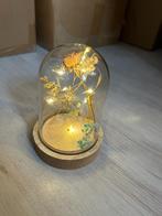 decoratie fles en stolp met licht, Huis en Inrichting, Woonaccessoires | Stolpen, Ophalen of Verzenden, Gebruikt