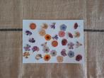 bloemen stickers, Ophalen of Verzenden, Zo goed als nieuw, Versiering of Embellishment, Overige merken