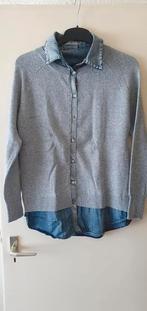 AMBIKA GRIJS VEST MET SPIJKERBLOUSE ERAAN VAST ONE SIZE, Kleding | Dames, Truien en Vesten, Maat 38/40 (M), Nieuw, Ophalen of Verzenden