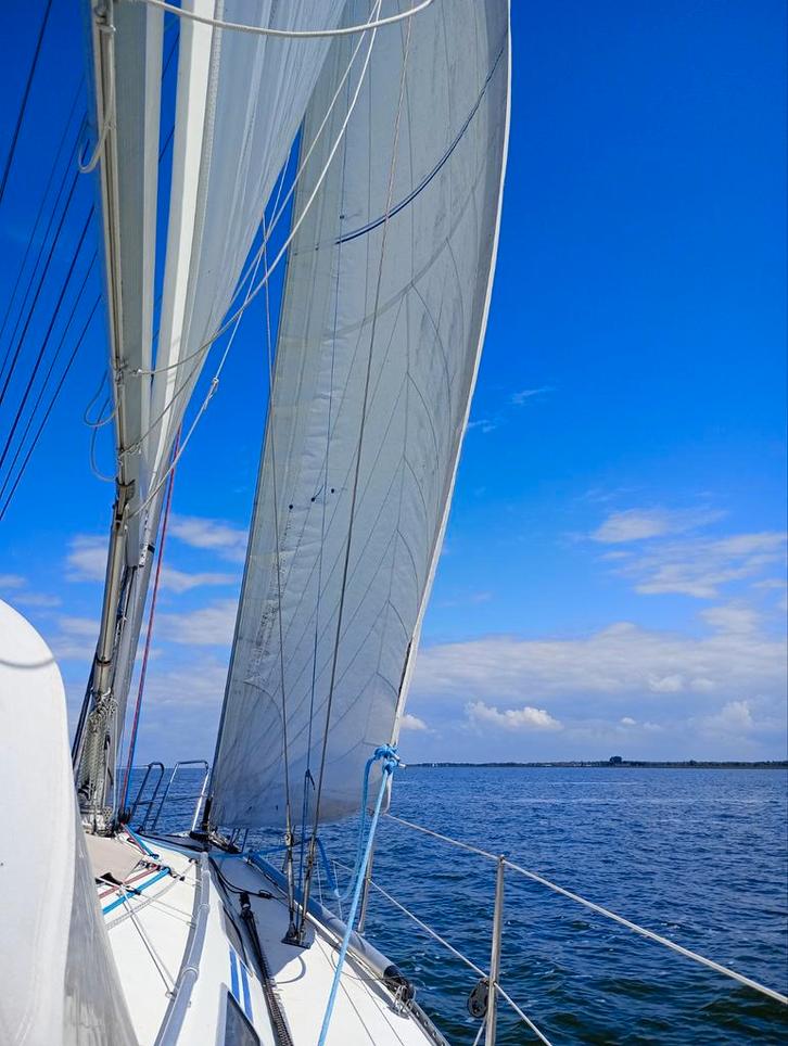 Goed gebruikte' rol Genua van Hagoort laminaat, Watersport en Boten, Zeilen en Zeiltoebehoren, Gebruikt, Genua of Fok, 30 tot 60 m²