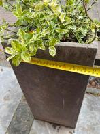 2 plantenbakken van steen incl planten, Steen, Tuin, Gebruikt, 30 tot 60 cm