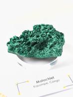 Silky Malachiet kristallen, Kasampe Congo, Ophalen of Verzenden, Mineraal