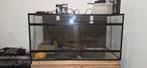 Reptielen terrarium, Dieren en Toebehoren, Ophalen, Zo goed als nieuw, Terrarium of Paludarium