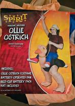 HALLOWEEN costume /Carnaval, Ophalen of Verzenden, Zo goed als nieuw, Jongen of Meisje