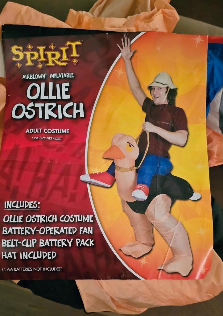 HALLOWEEN costume /Carnaval, Kinderen en Baby's, Carnavalskleding en Verkleedspullen, Zo goed als nieuw, Jongen of Meisje, Ophalen of Verzenden