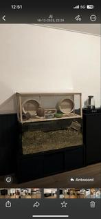 Glazen kooi/ aquarium, Ophalen of Verzenden, Minder dan 75 cm, Kooi, Minder dan 60 cm
