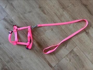 Tuigje / harnas lichtroze voor hond + riem - NIEUW beschikbaar voor biedingen