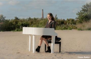 Handgemaakte piano ombouw in het zwart of wit nieuw! beschikbaar voor biedingen