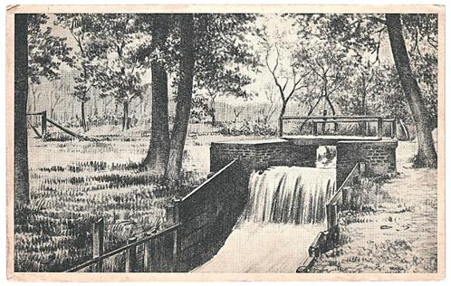 958176	Nunspeet	Gld Leuvensche Bosch	Waterval	Geen postzegel, Verzamelen, Ansichtkaarten | Nederland, Ongelopen, Gelderland, Ophalen of Verzenden