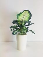 Vintage Albast design vaas natuursteen wit ’80 bloempot, Steen, Gebruikt, Wit, Ophalen of Verzenden