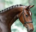 Aangeboden. Stalmedewerker., Gedragstraining