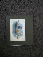 Tom poes portfolio, Ophalen of Verzenden