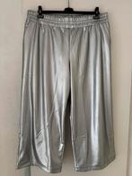 Culotte in zilver - damesmaat 52, Overige kleuren, Maat 46/48 (XL) of groter, Nieuw, Lang