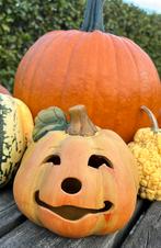 Aardewerk pompoen gezichtje 14cm herfst Halloween, Ophalen of Verzenden, Zo goed als nieuw, Versiering, Halloween of Griezel
