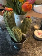 Gehaakte plantjes, Verzenden, Nieuw, Haken, Overige typen